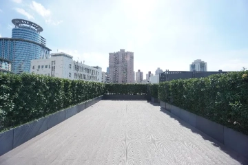 396 Urumqi(11)