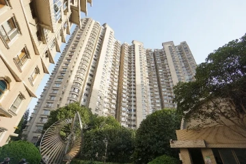 Bu Gao City(2)