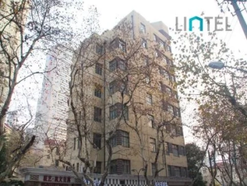 CJIA LUX(2)