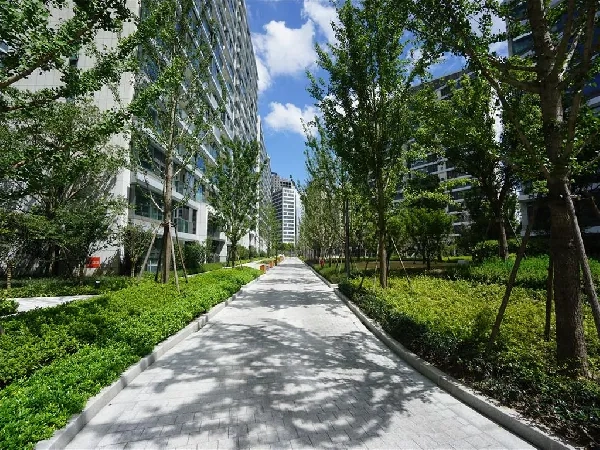 Crystal Plaza Residences(2)