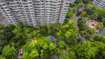 Da Hua Qing Shui Wan(4)