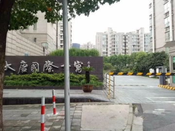 Da Tang Sheng Shi III(2)