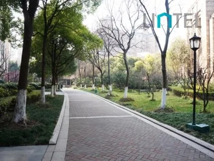 Dawn Garden(3)