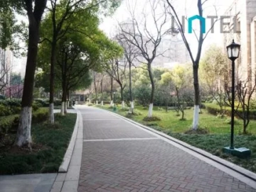 Dawn Garden(3)