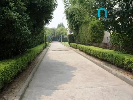 Dynasty Garden(4)