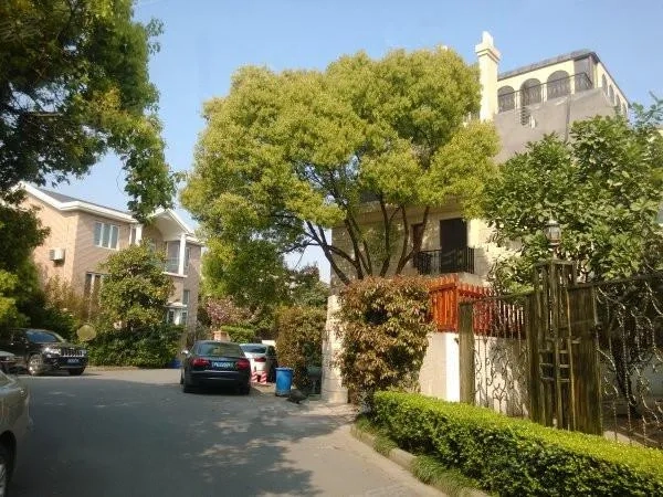 Field Villa(2)