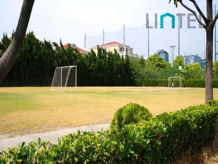 Hongqiao Villa(4)