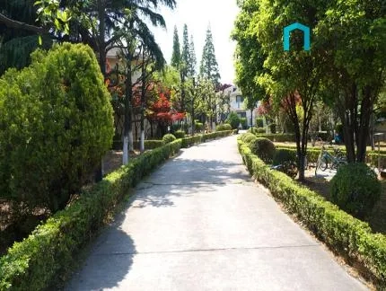 Hongqiao Villa(6)