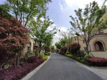 Imperial Garden(2)