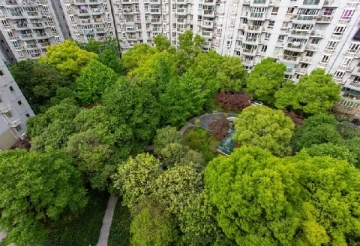 Jing'an Riverside Garden(2)