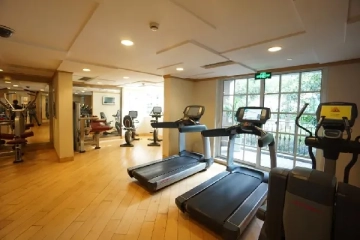 Lanson Place Jinqiao(3)
