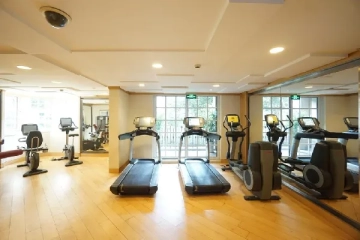 Lanson Place Jinqiao(4)