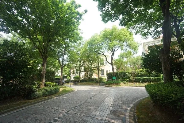 Lido Villa(5)