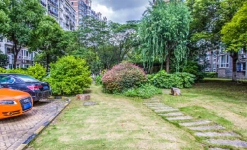 Nanyang Xin Dou(3)