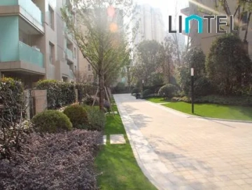 No 1 Xinhua Road(4)