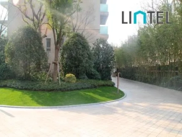 No 1 Xinhua Road(5)