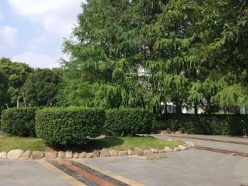 Oriental China Garden(3)