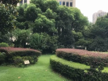 Phoenix Garden(3)