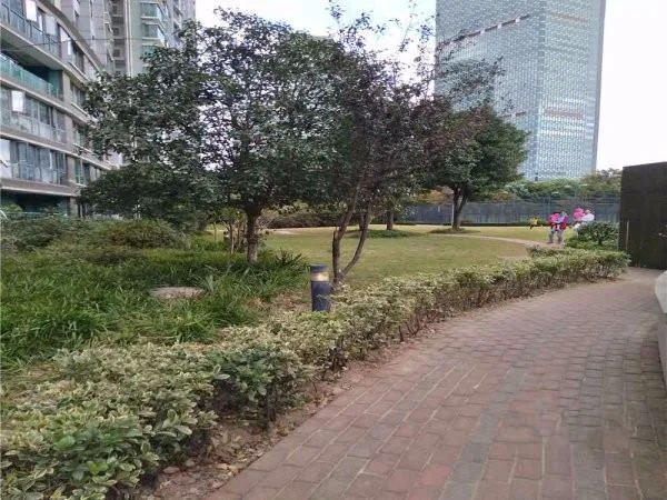 Pudong Century Garden II(3)