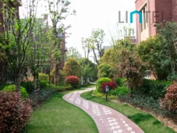 Roselane Garden(3)
