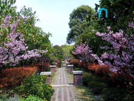 Roselane Garden(5)