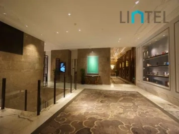 ST REGIS Apartments(11)