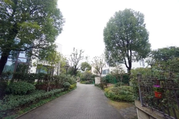 Sego Villa(4)