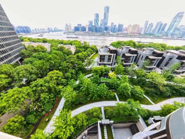 Shanghai Arch(3)