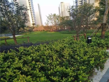 Shanghai Li Jing(5)