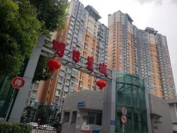 Shanghai The Future Phase II