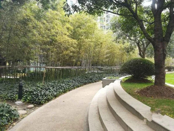 Shui Qing Mu Hua Apartment(3)