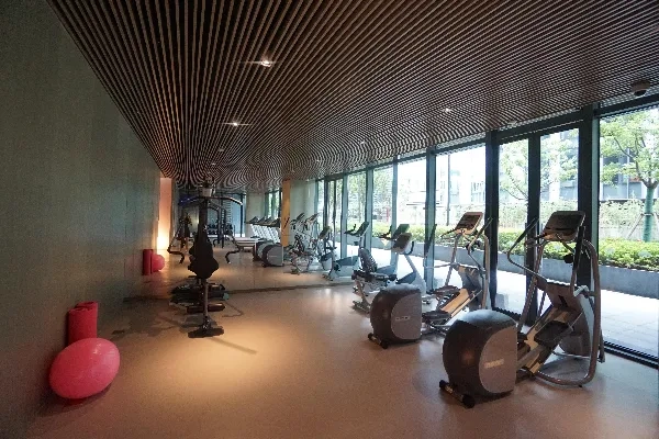 Sincere Hongqiao(6)