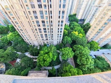 South Bund Garden(4)