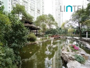 Springdale Garden(2)