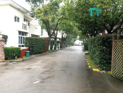 Sunny Garden(5)