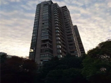 The Ninth City(2)