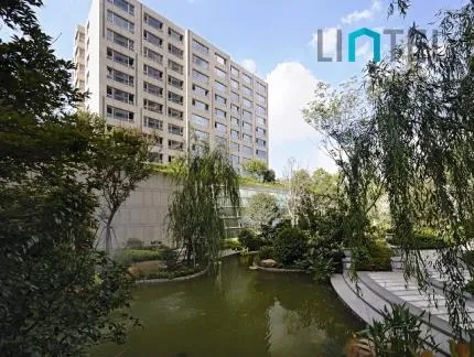 The Paragon(2)