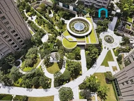 The Paragon(3)