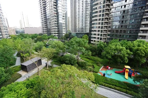 The View Rainbow City(4)