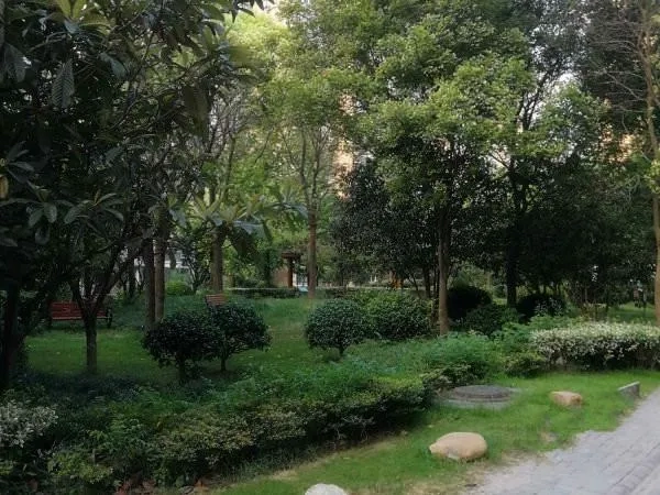 Tianshan Star City(3)