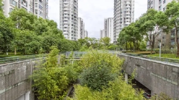 Urban Cradle III