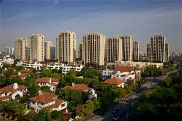 Urban Cradle IV(3)