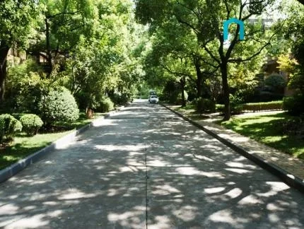 Villa Contemporary Spirit(7)