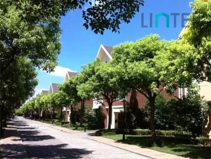 Windsor Place(9)