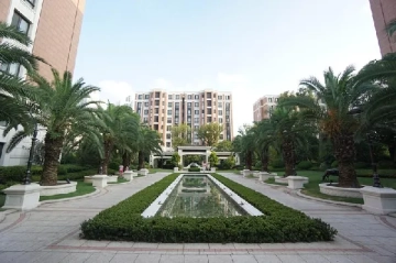 Xijiao Jakaranda Garden(3)