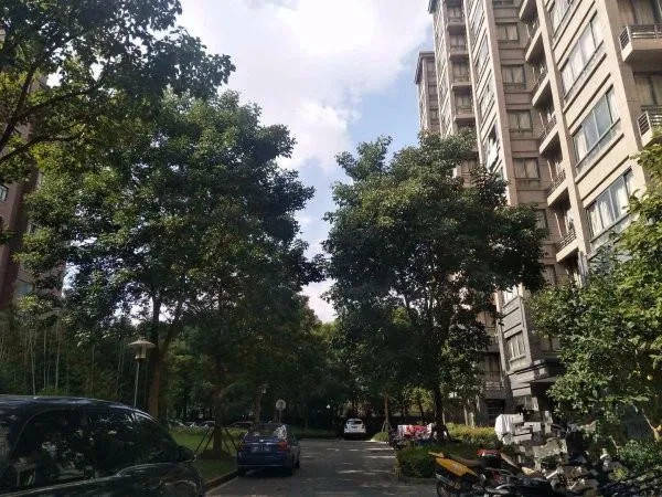 Zhangjiang Tomson Garden IV(3)