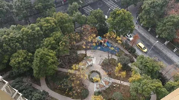 Zhuoyue Ju phase II(3)