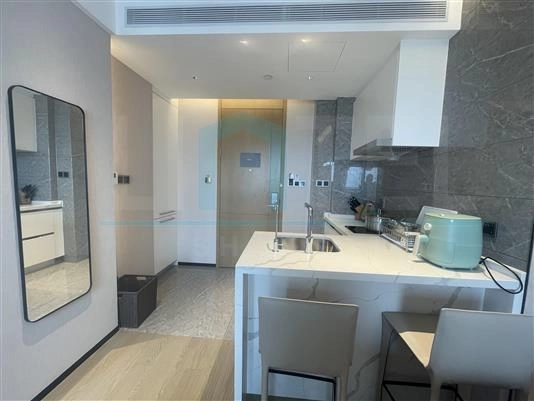 1-bdr Executive Somerset Pudong Riverside Shanghai(2)
