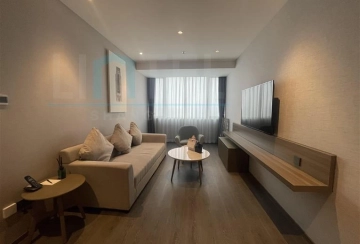 2-bdr Dulex Somerset Xuhui Riverside Shanghai