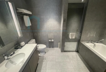 2-bdr Dulex Somerset Xuhui Riverside Shanghai(4)
